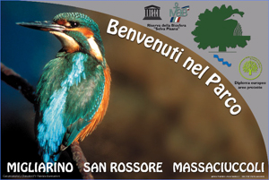 Parco di Migliarino Massaciuccoli San Rossore 45